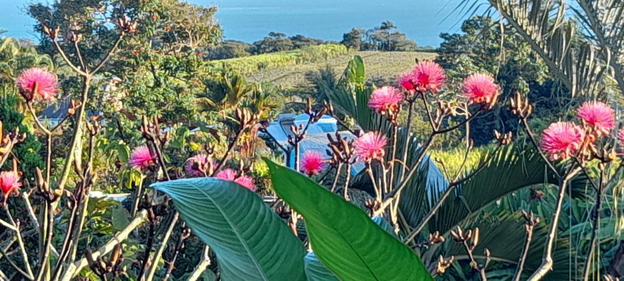 Gwadakaz Villa Sainte-Rose Dış mekan fotoğraf